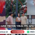 s line tiktok viral