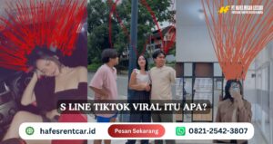 s line tiktok viral